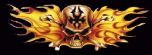 skullflamec11f.jpg