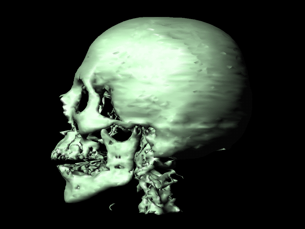 skull.gif