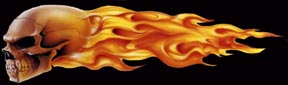 skullflamenew.jpg